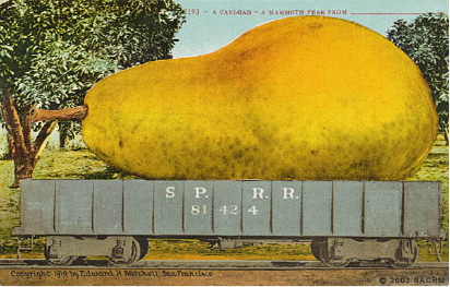 artisan-farmer-history