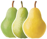 conditioning-handling-4