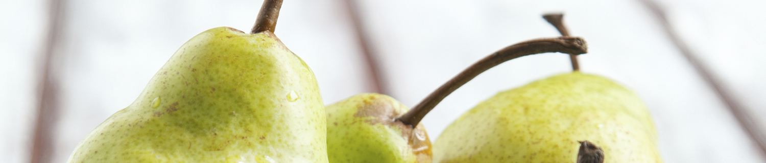 Conditioning & Handling