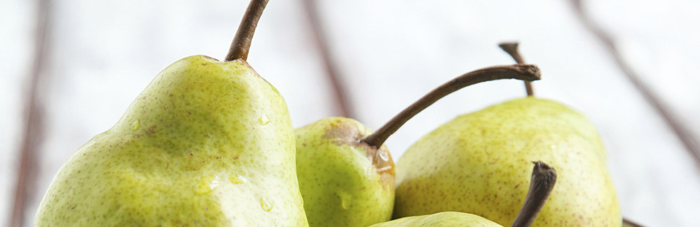 Retail & Foodservice