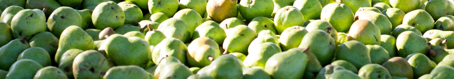 OUR PLEDGE TO NEVER USE 1-MCP